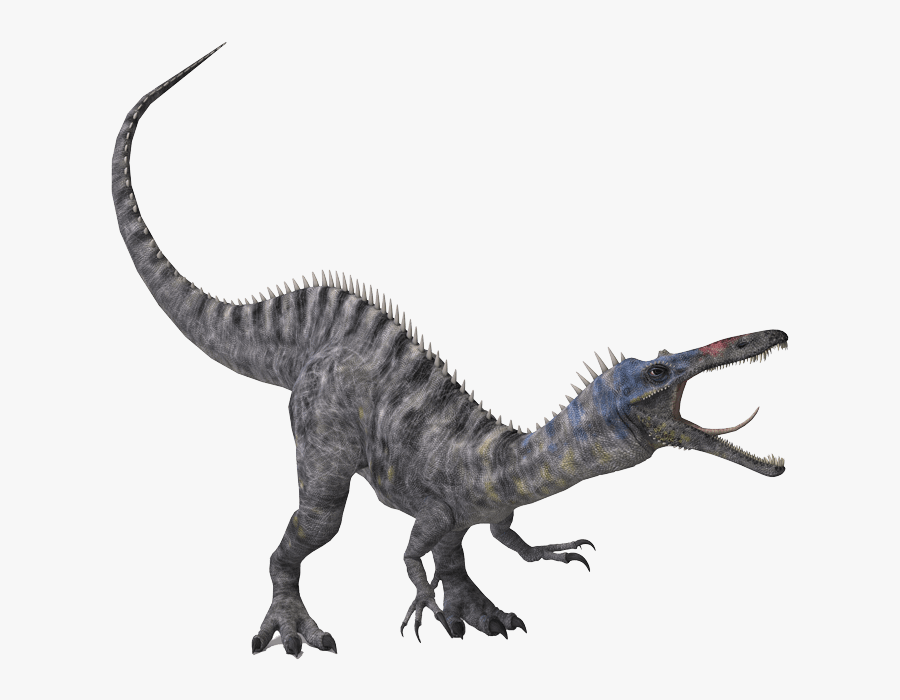 Dinosaur - Fossil - Drawing - Draw The Dinosaur Baryonyx, Transparent Clipart