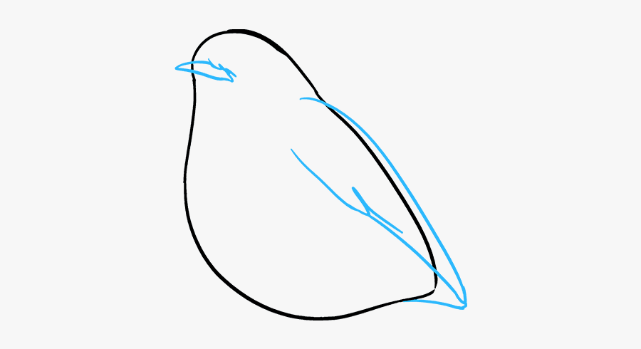 How To Draw Robin - Sketch, Transparent Clipart