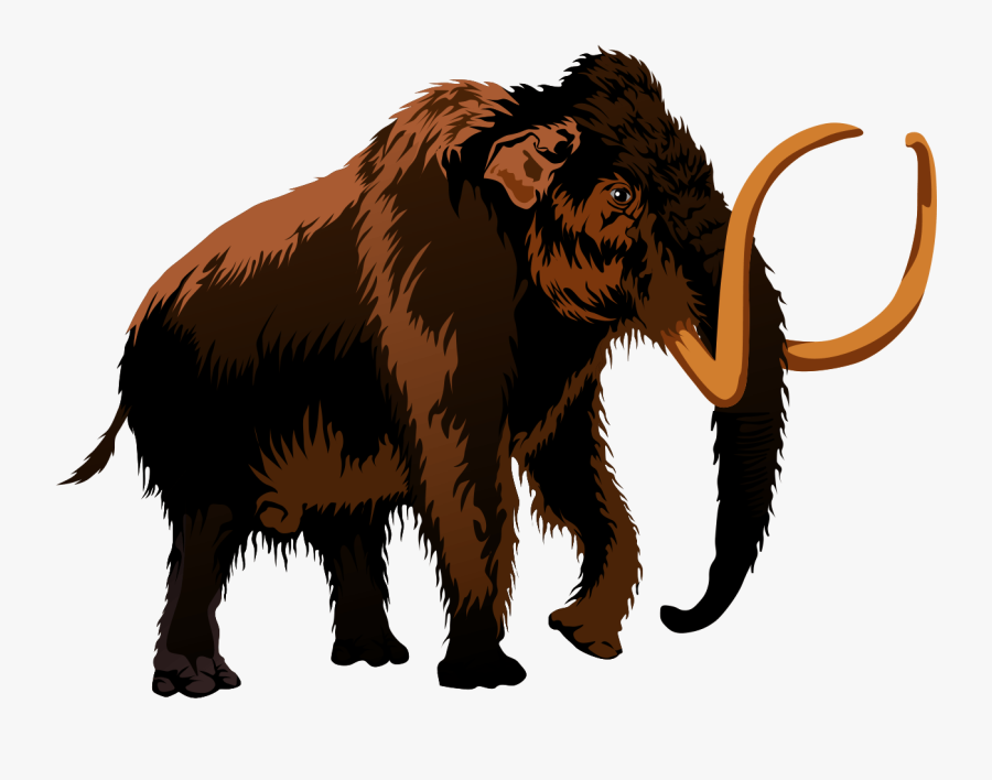 Fossil Clipart Mammoth - Mammoth Clipart, Transparent Clipart