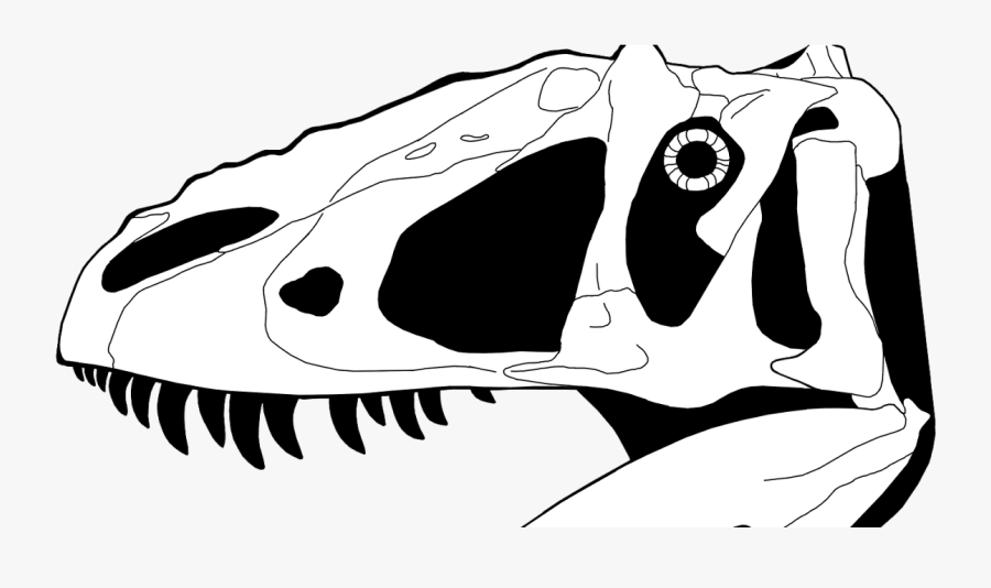 Clip Transparent Stock Fossil Clipart Meat Bone - Yutyrannus Huali Skeleton, Transparent Clipart