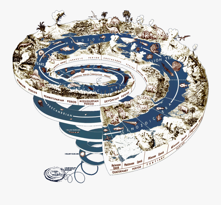 Fossil Clipart, Transparent Clipart