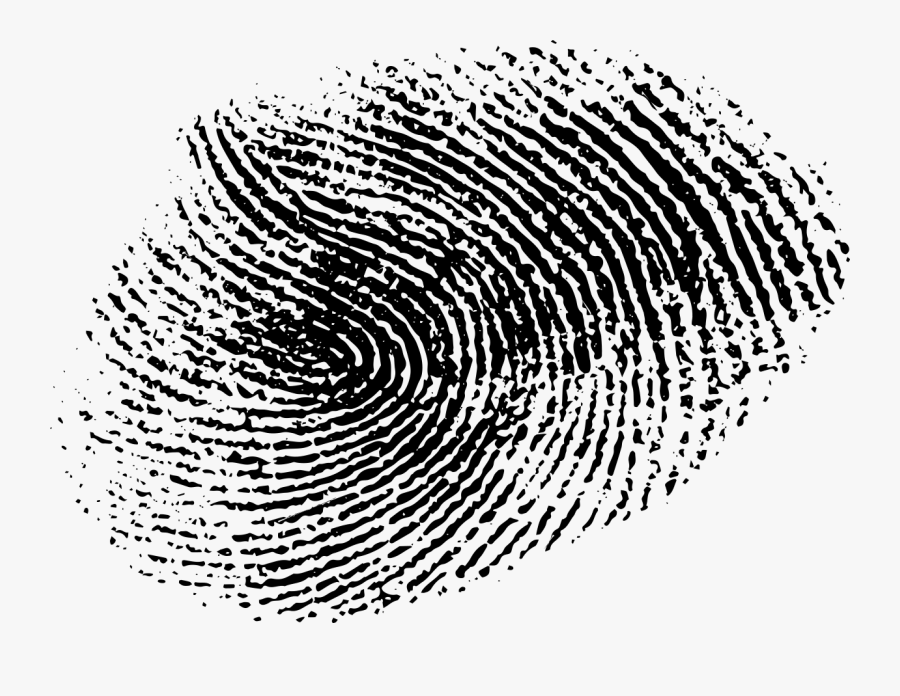 Dartlet The Science Of - Circle, Transparent Clipart