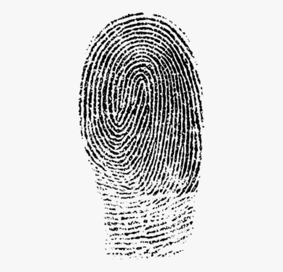 Black And White Fingerprint, Transparent Clipart