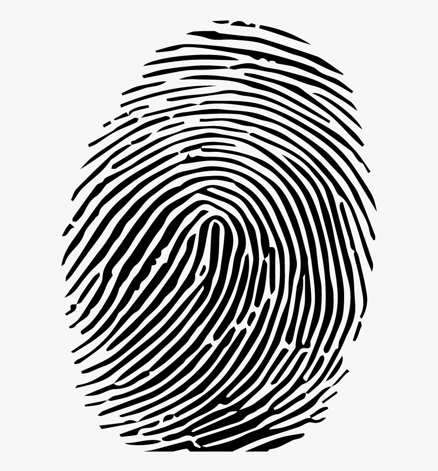 Fingerprint Vector Free, Transparent Clipart