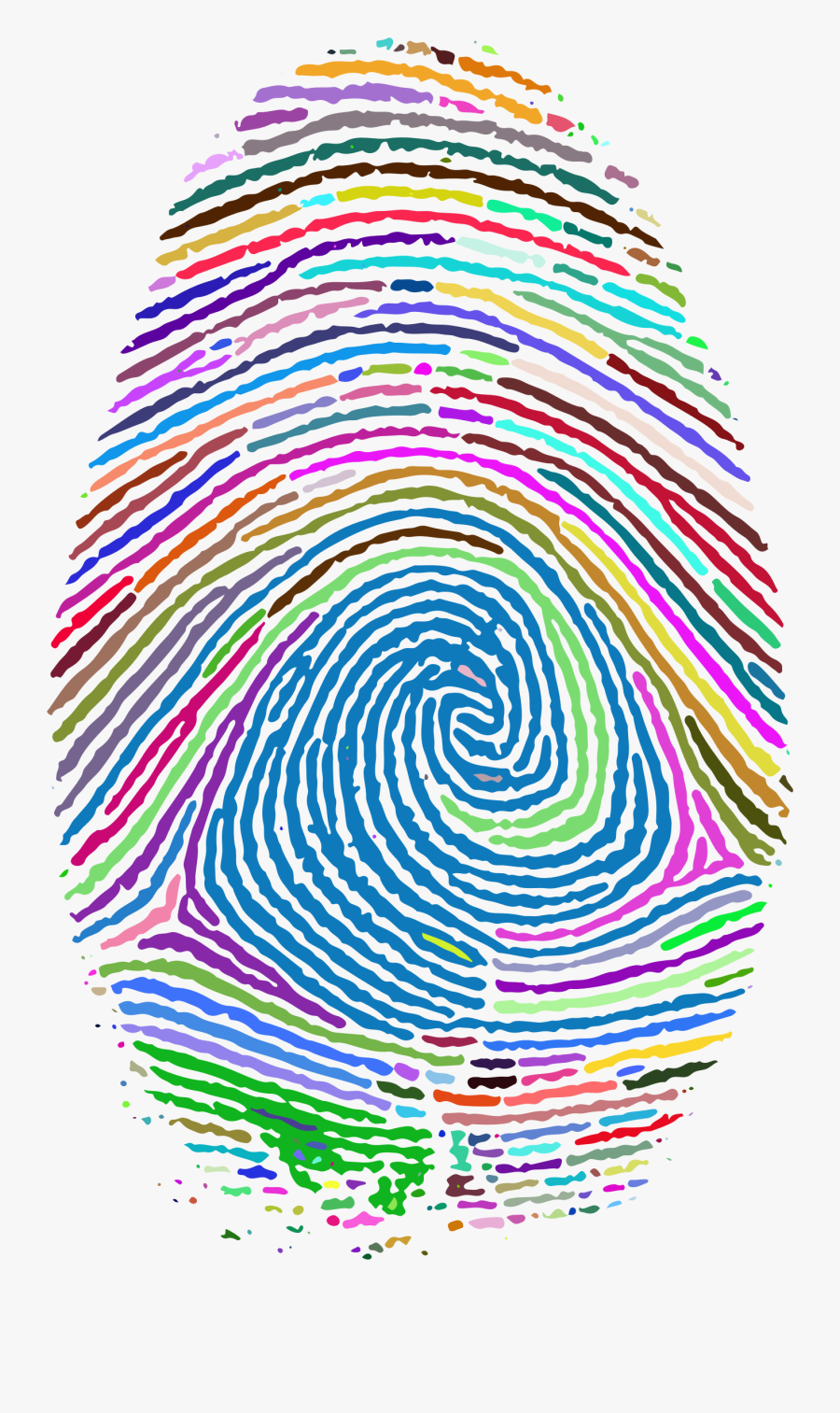 Fingerprint Footprint Clip Art - Fingerprint Golden Ratio, Transparent Clipart