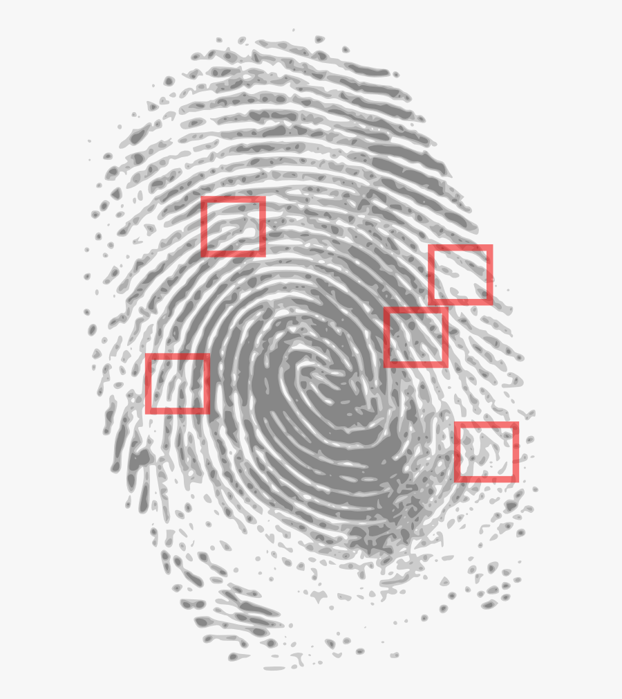 Fingerprint - Fingerprints Evidence Crime Scene, Transparent Clipart