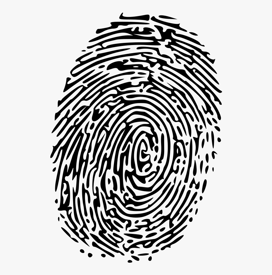 Graphic Freeuse Stock Fingerprint Clipart Similar - Clip Art Identity, Transparent Clipart