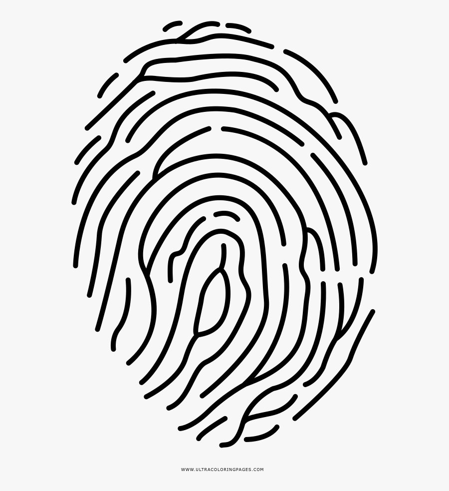 Transparent Fingerprint Clipart - Circle, Transparent Clipart