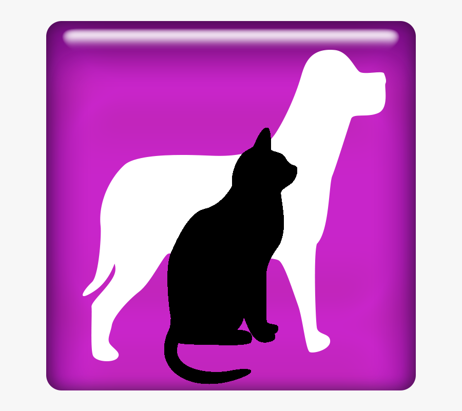 Lost & Found - Cat, Transparent Clipart