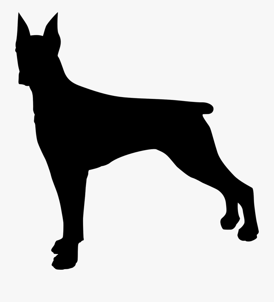 Dog, Doberman, Animal, Pet, Domestic, Dangerous, Alert - Transparent Background Dog Silhouette Png, Transparent Clipart