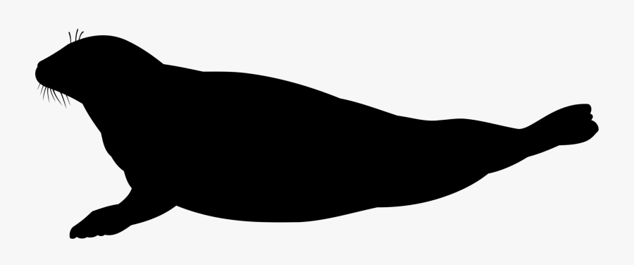Photography - Seal Silhouette Transparent, Transparent Clipart