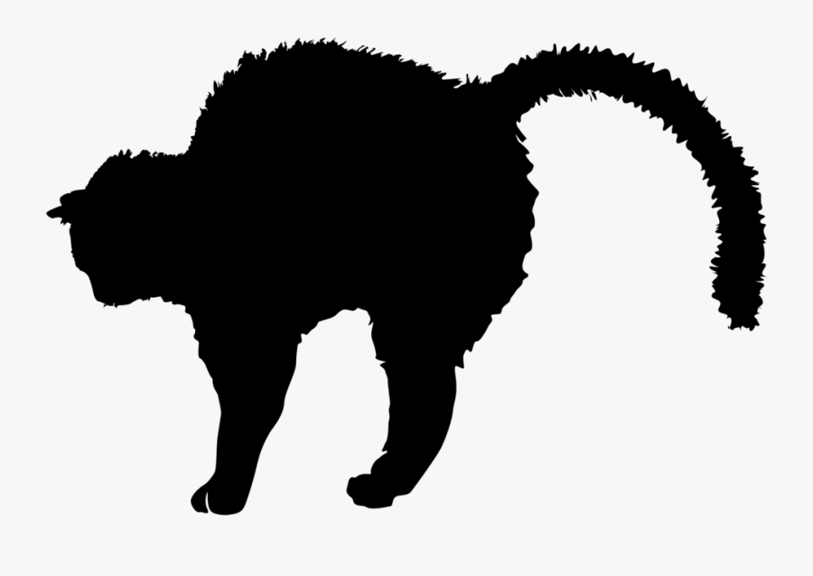 Cats Fighting Silhouette Transparent, Transparent Clipart