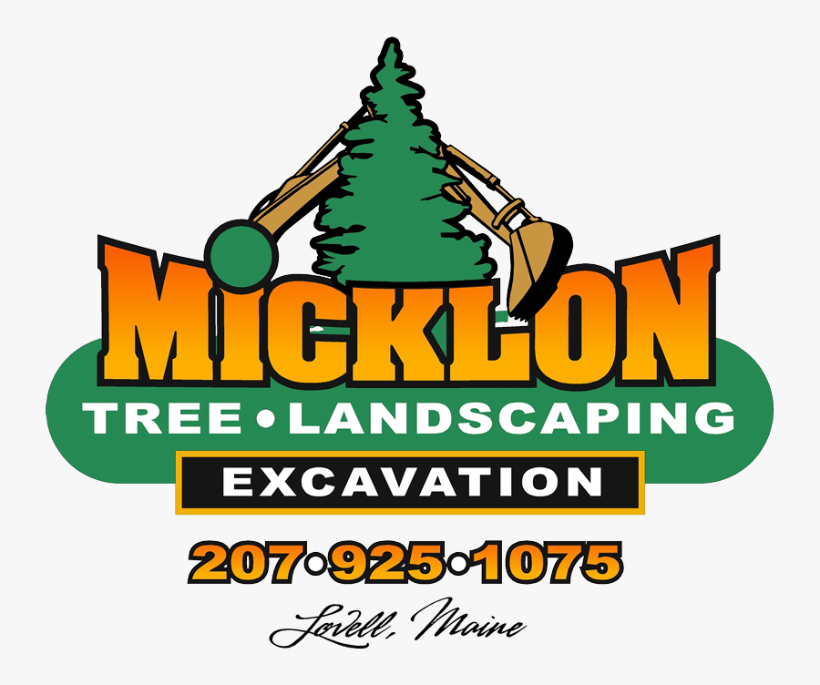 Christmas Tree, Transparent Clipart