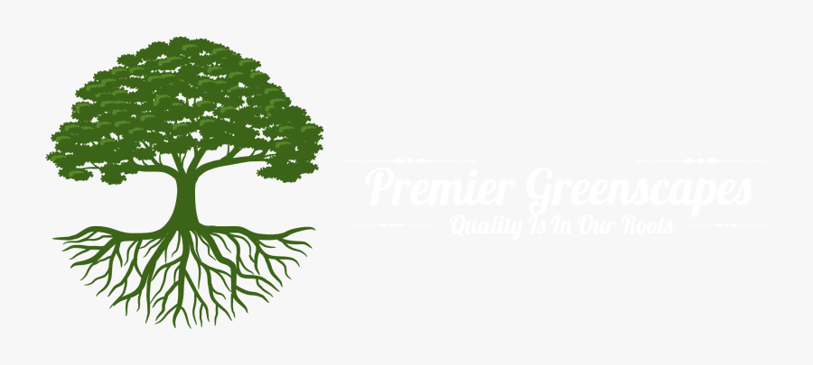 Premier Greenscapes - Illustration, Transparent Clipart