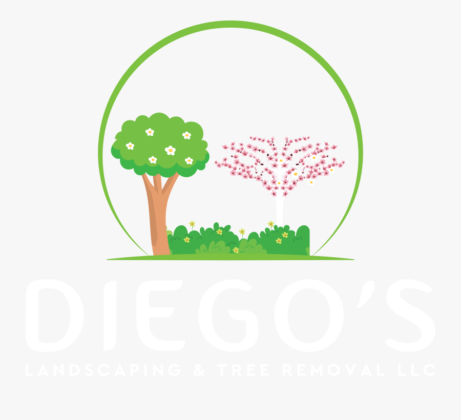 Diego"s Landscaping And Tree Removal Llc - Illustration, Transparent Clipart