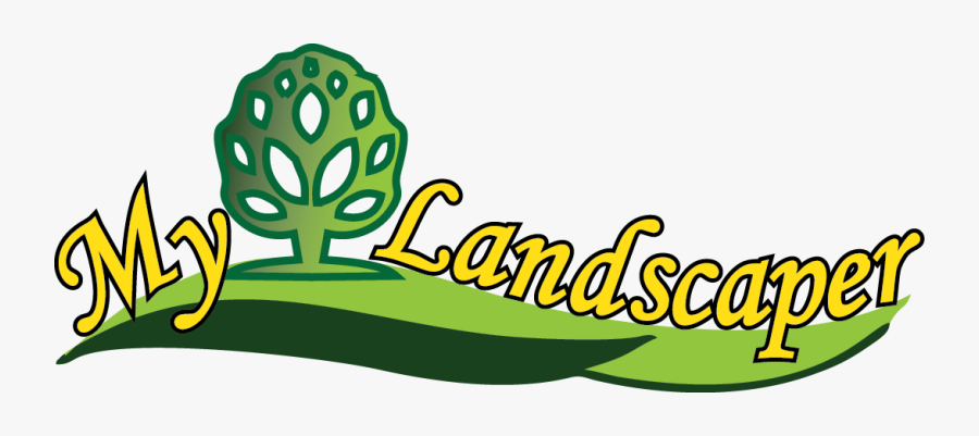 Picture, Transparent Clipart