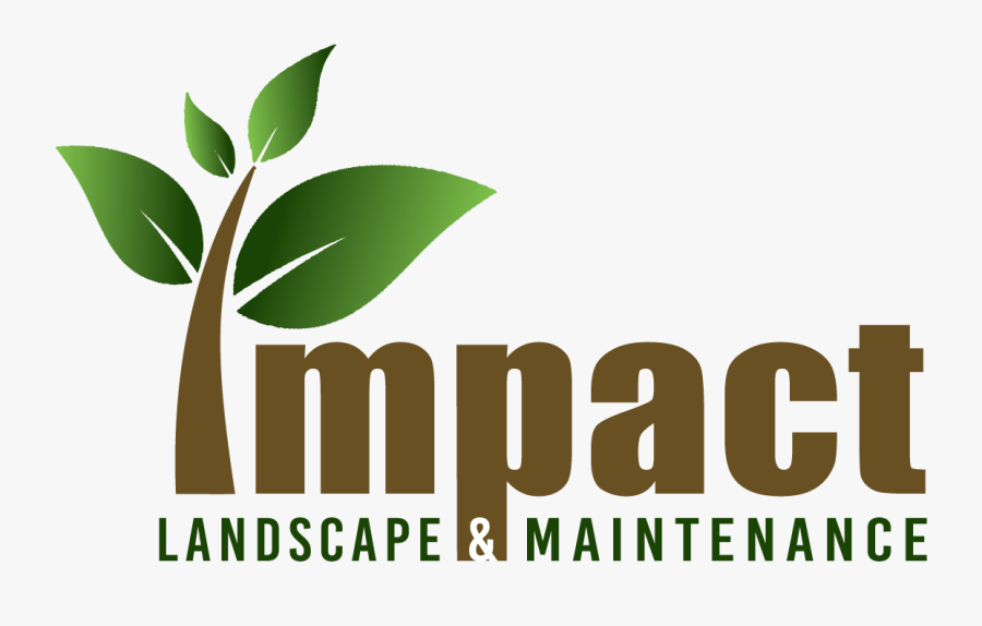 Standout Design, Llc., Transparent Clipart