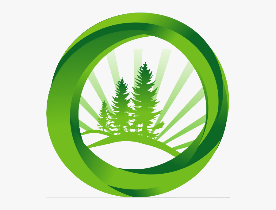 Circle, Transparent Clipart