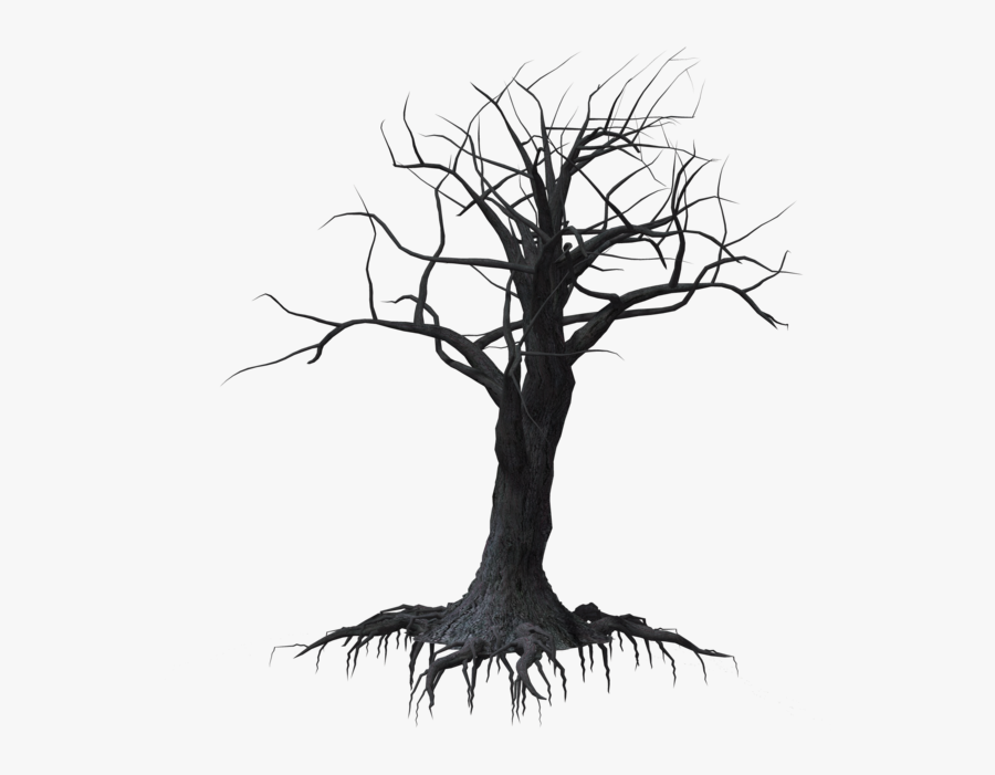 Creepy Tree Clip Art Library Download - Dead Tree Transparent Background, Transparent Clipart