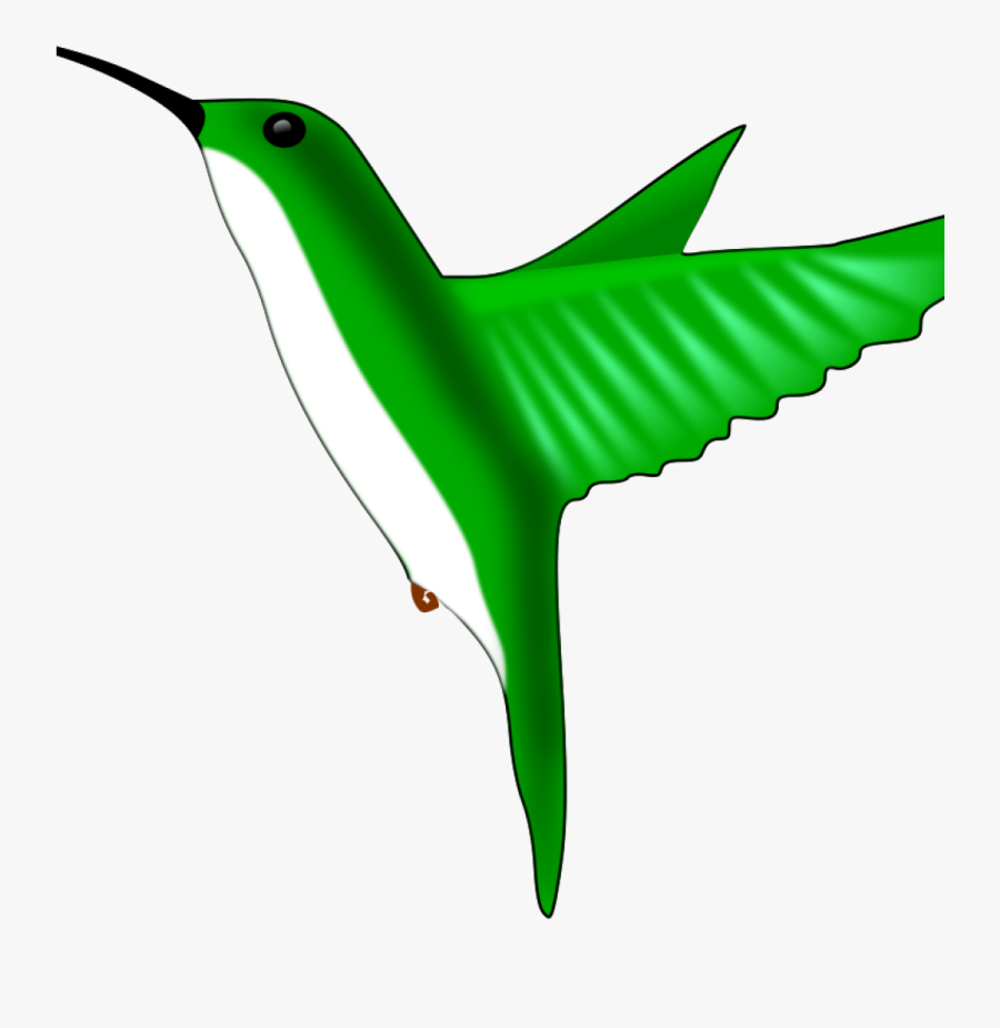 Hummingbird Clipart Thank You Clipart Hatenylo - Hummingbird Clipart Easy, Transparent Clipart