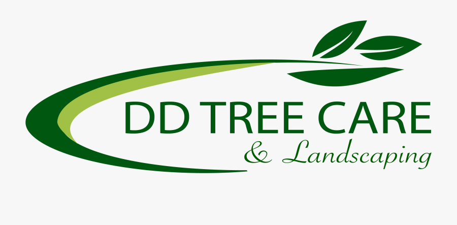 Dd Tree Care - Vagina, Transparent Clipart