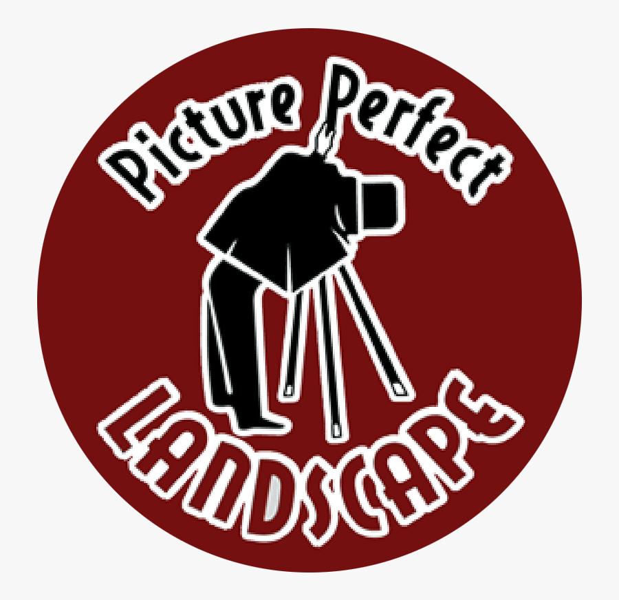 Simaudio, Transparent Clipart