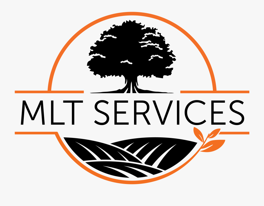 Mlt Services - Masterclass Logo, Transparent Clipart