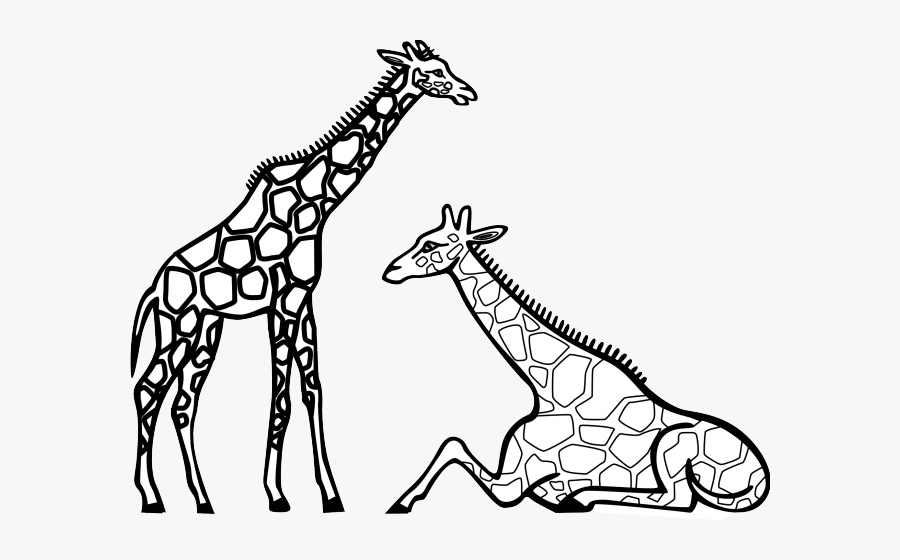 Zebra Clipart Zoo Animal - Giraffes Clipart Black And White, Transparent Clipart