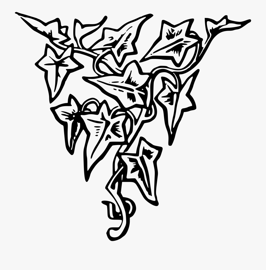 Decorative Divider - Portable Network Graphics, Transparent Clipart