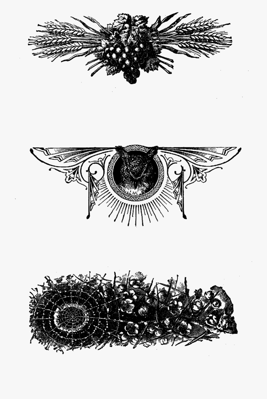 Digital Text Line Page Dividers Clipart Collage Sheet - Clip Art, Transparent Clipart