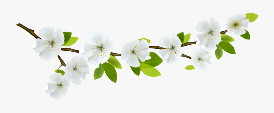 Branch And Flowers - Transparent Background Spring Flowers Png, Transparent Clipart