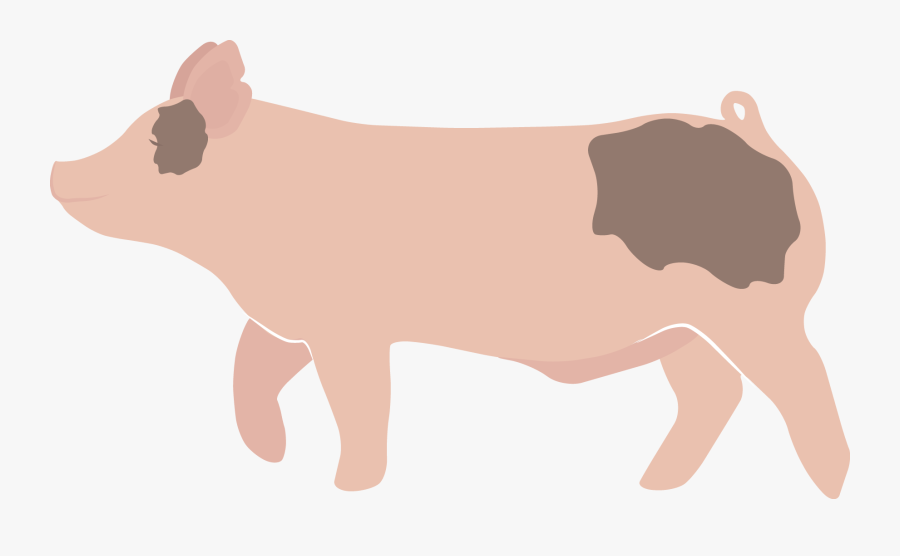 Vector Black And White Stock Pig Butt Clipart - Show Pig Graphic, Transparent Clipart