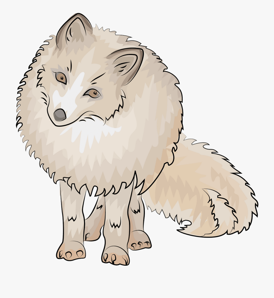 Cat Yawns, Transparent Clipart