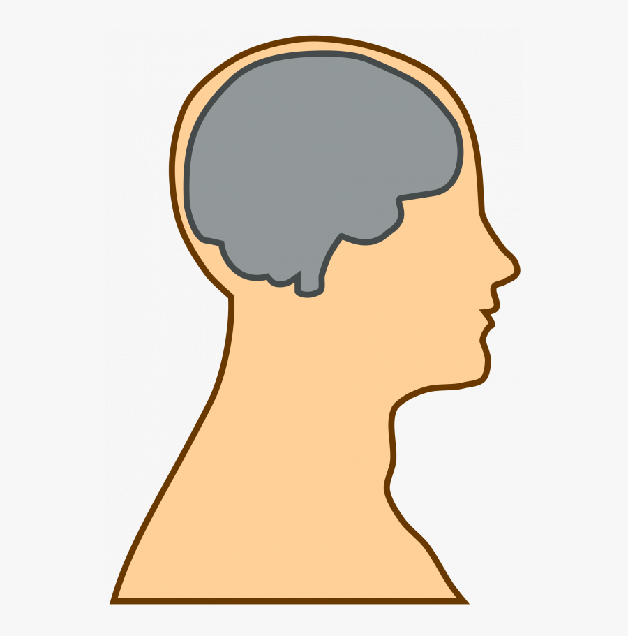 Brain Thinking Clipart Images Png Transparent - Cartoon Head With Brain, Transparent Clipart