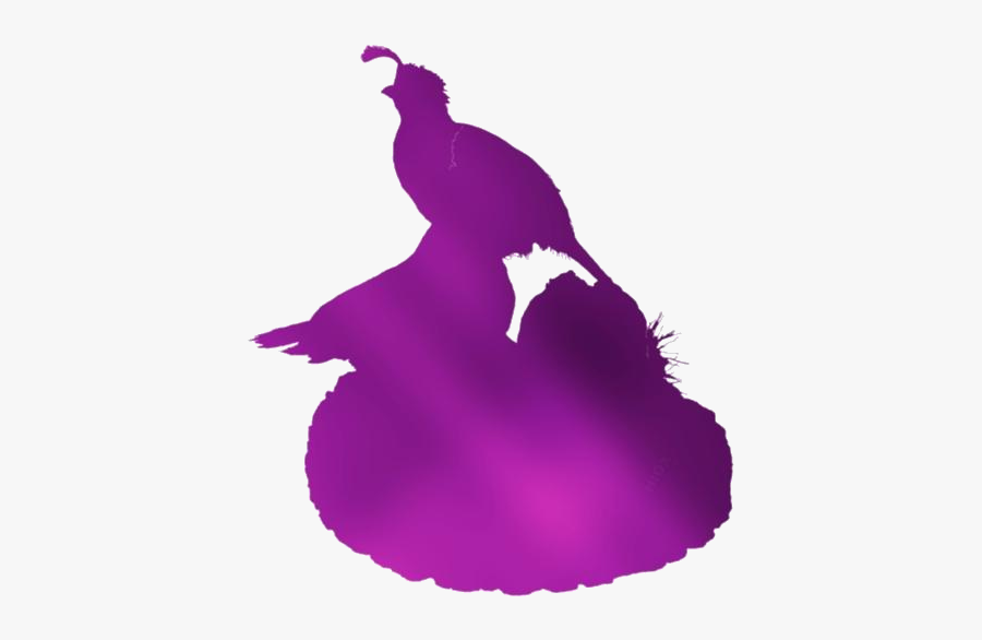 Arizona Birds Png Clipart Image For Download - Illustration, Transparent Clipart