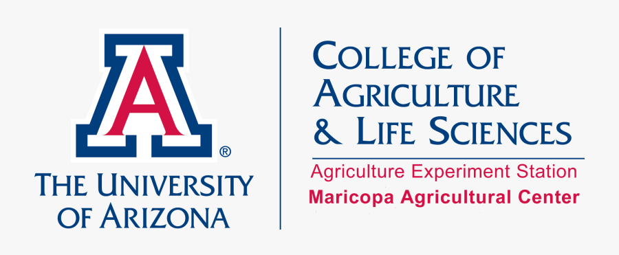 University Logo Clipart - Small University Of Arizona Logo, Transparent Clipart