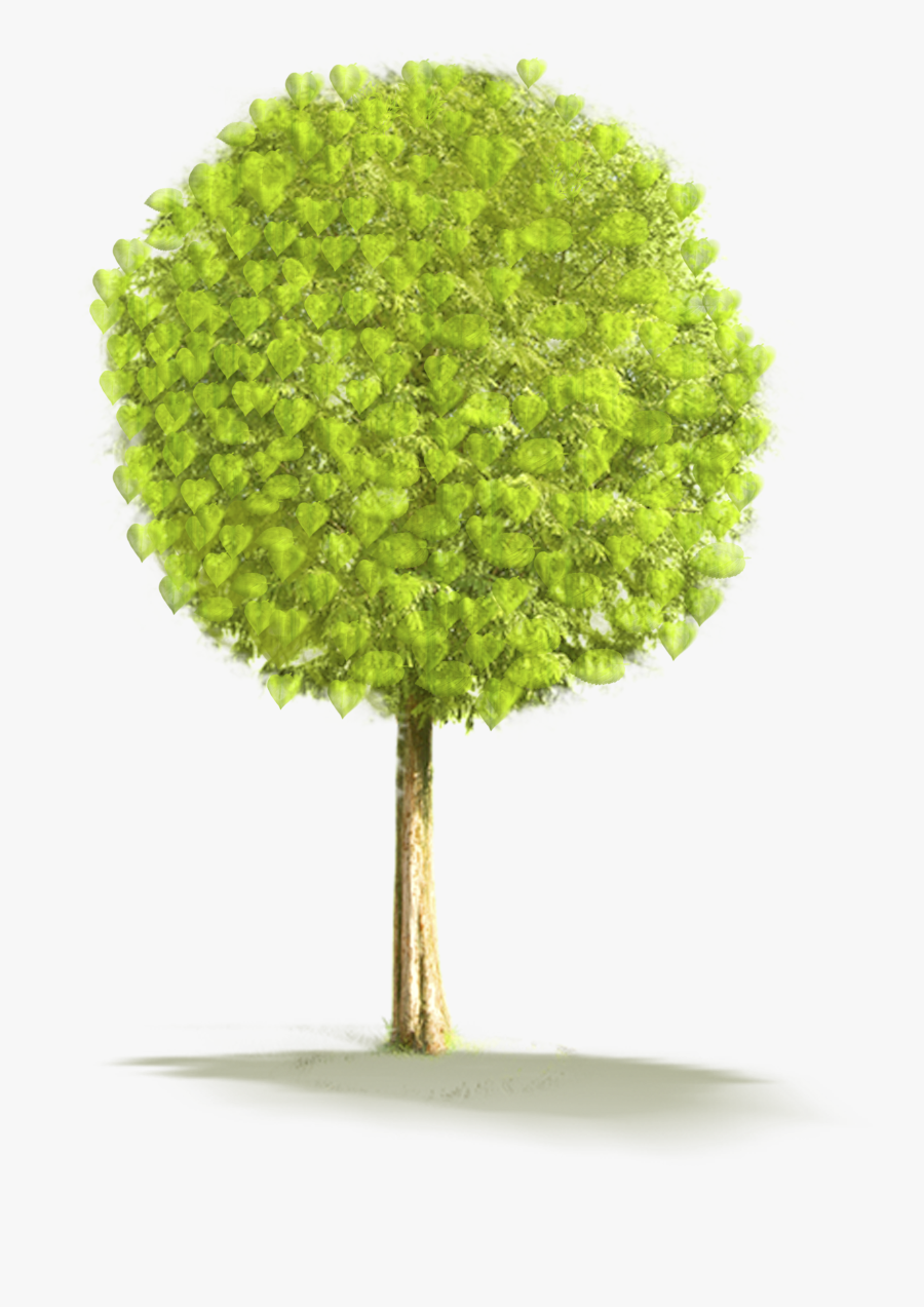 Tree Png Animated Gif, Transparent Clipart
