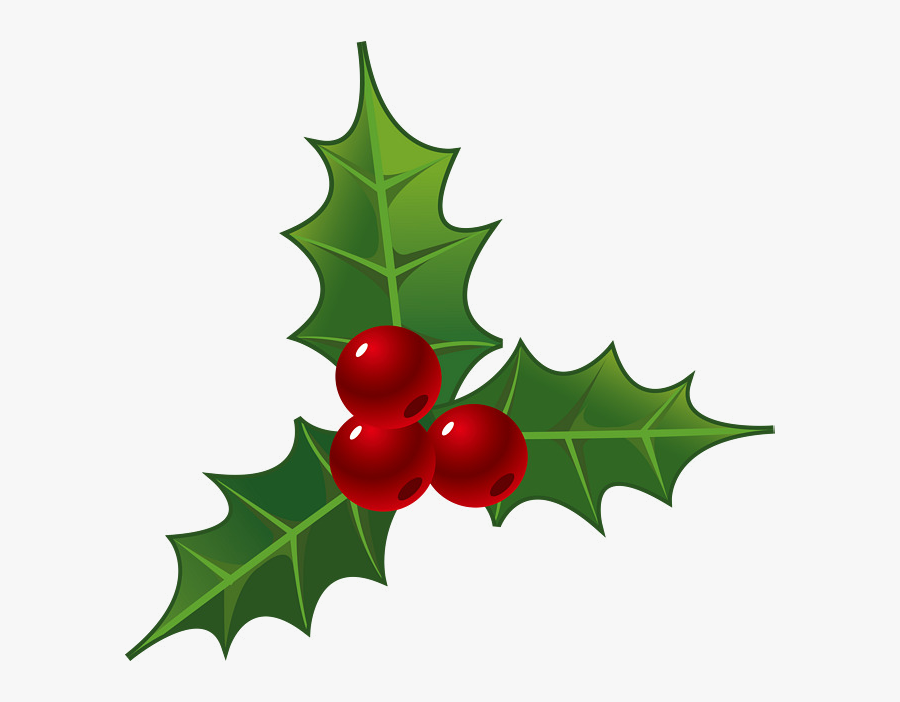 Holly Leaf Christmas Leaves Decorations For Clipart Clip