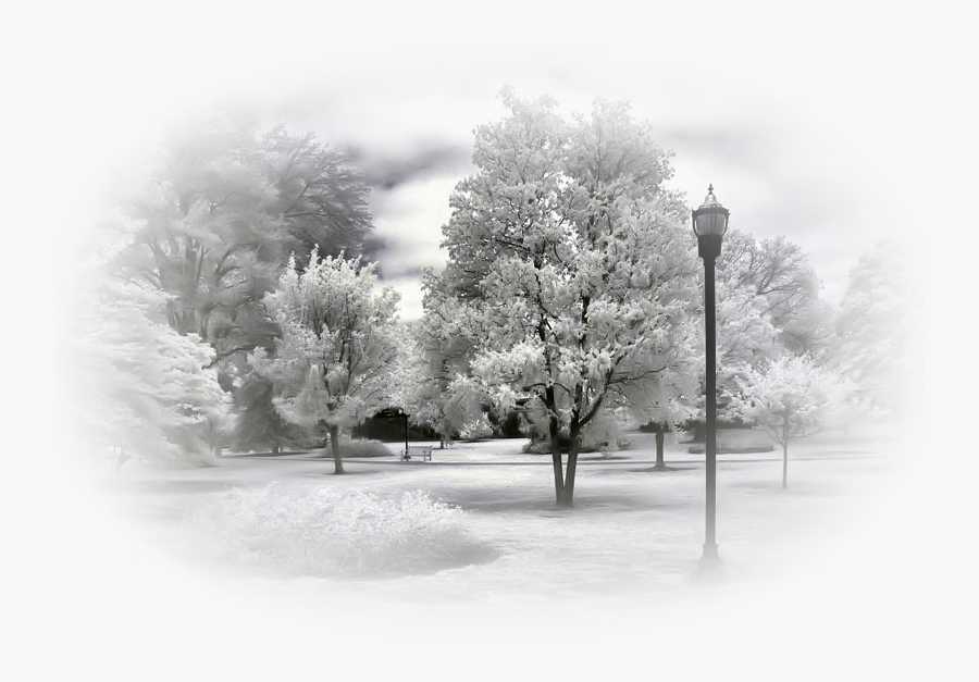 Winter Landscape Blizzard Snow Nature - Paysages D Hiver Png, Transparent Clipart