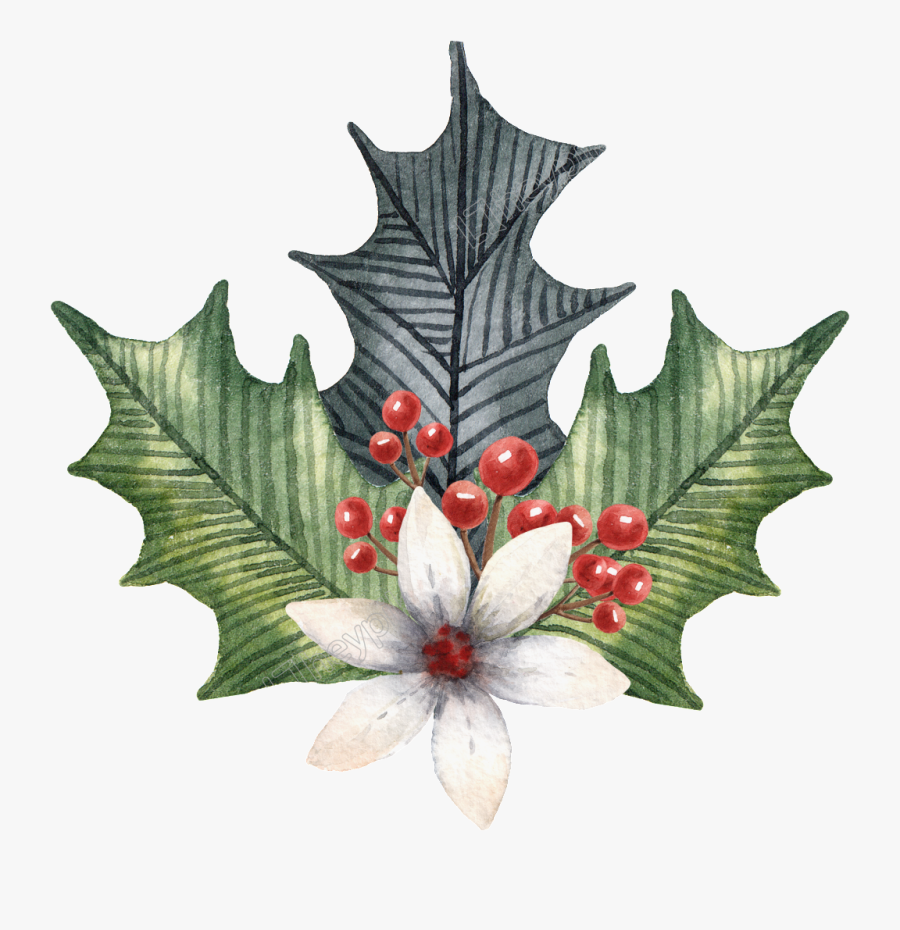 Holly Leaves Png - Illustration, Transparent Clipart