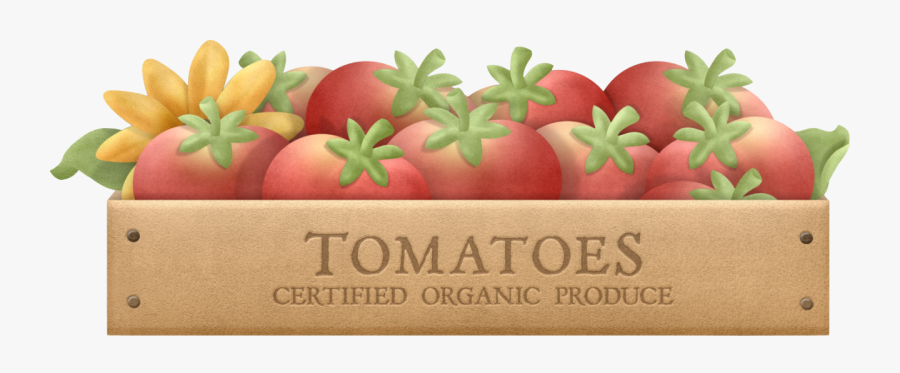 Label, Transparent Clipart