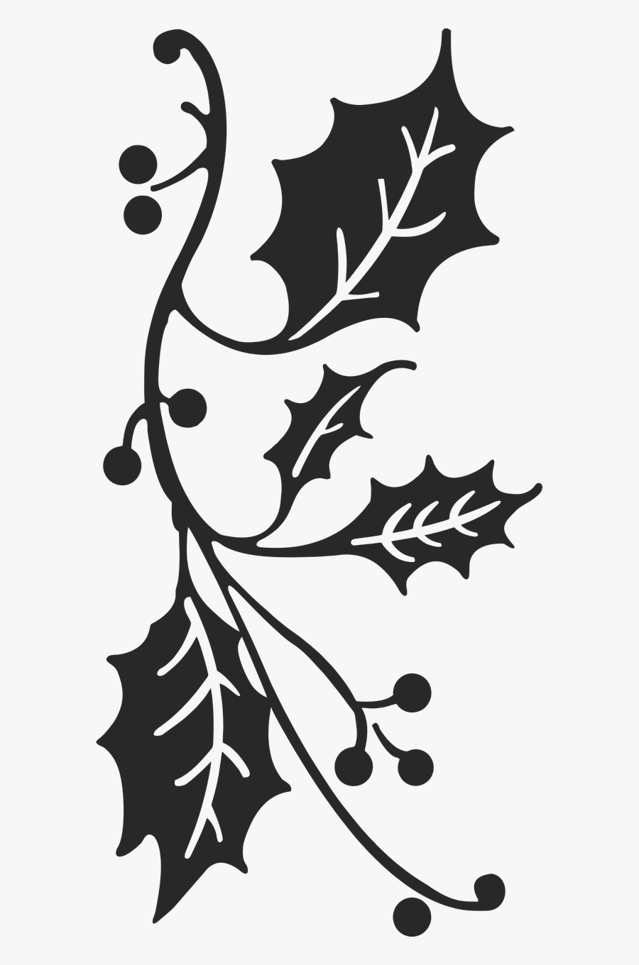 Black And White Holly Clipart, Transparent Clipart