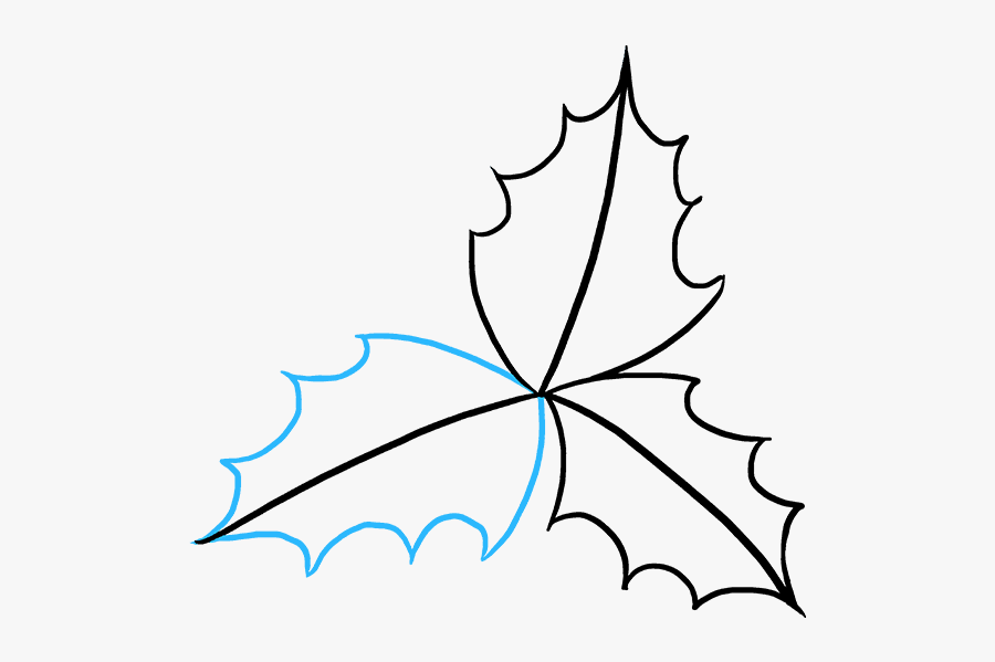 How To Draw Holly - Holly Leaf Drawing, Transparent Clipart