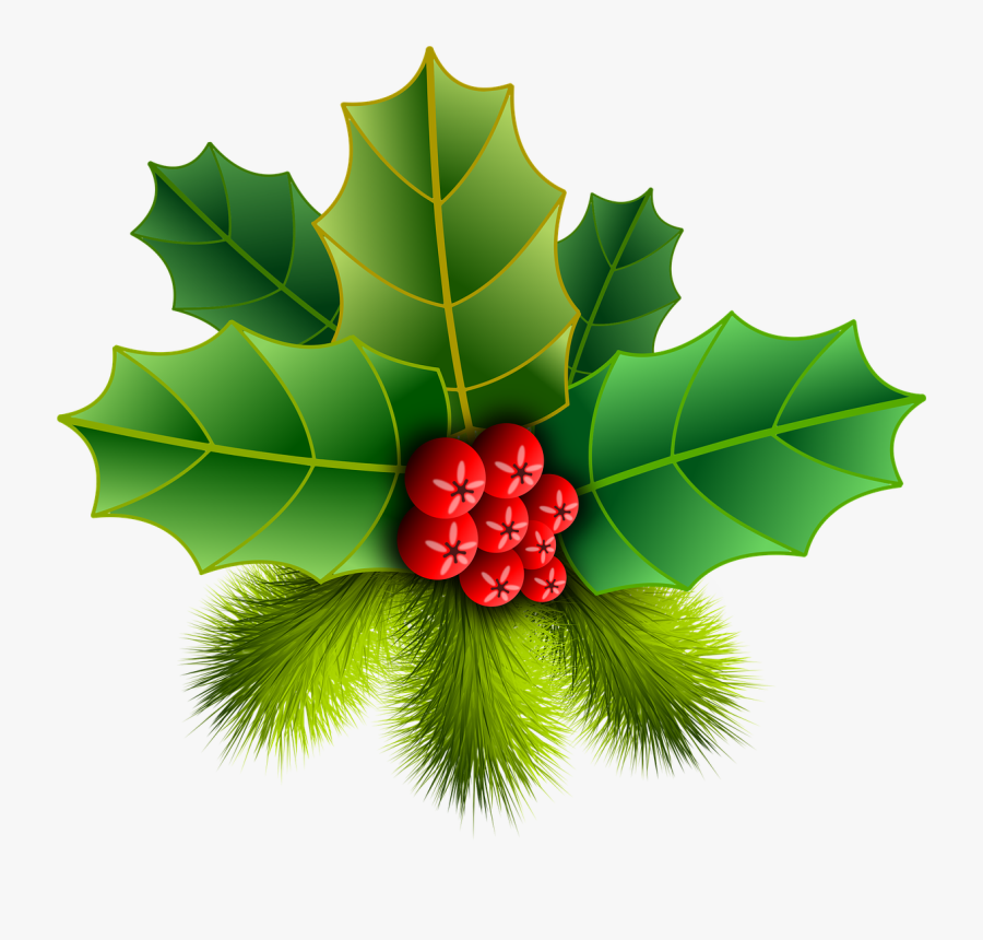 Holly Images - ต้น ฮ อ ล ลี่ วัน คริสต์มาส, Transparent Clipart