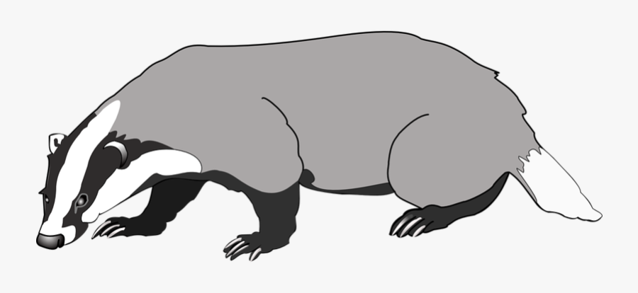 61808 - Badger Png, Transparent Clipart