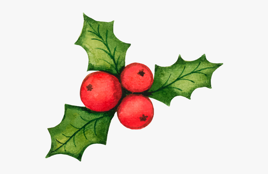 Holly Leaf Christmas Decorations Vector Material Illustration - Christmas Vector Decor, Transparent Clipart