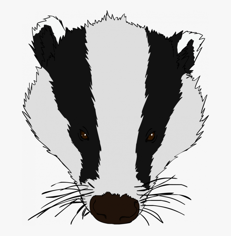 Honey Badger Face Drawing Free Transparent Clipart ClipartKey.