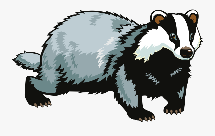 Badger Png - Badger Clipart, Transparent Clipart