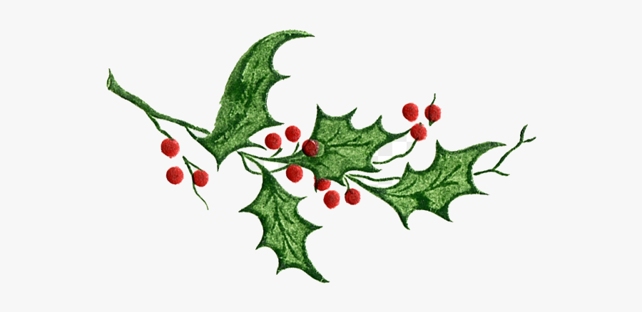 Holly Leaf The Menlo Park Chamber Of Commerce Leaves - Holly Leaves, Transparent Clipart