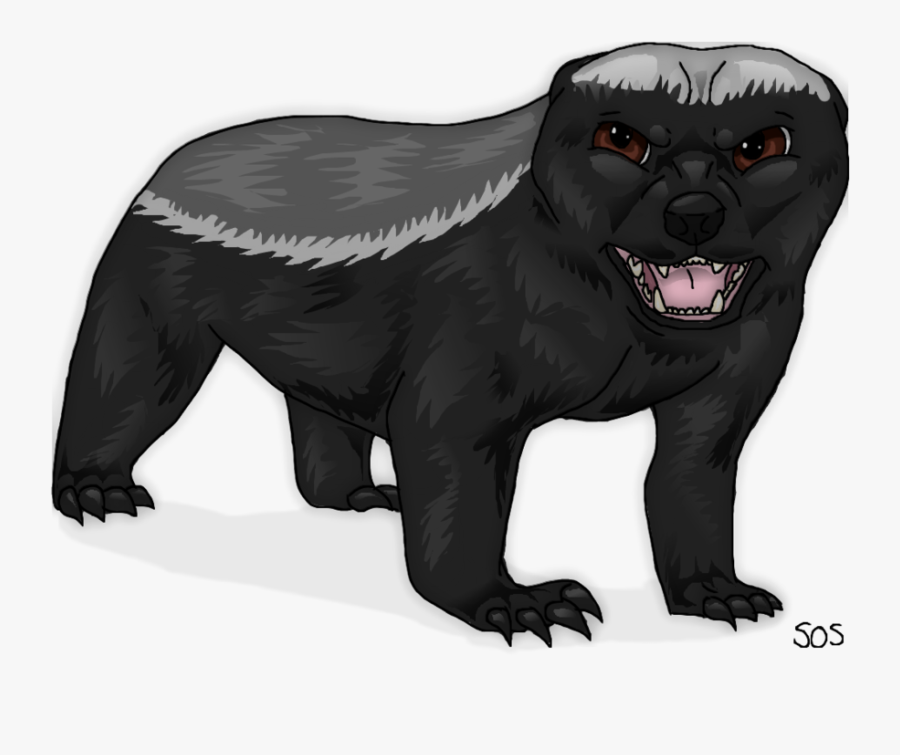 Honey Badger Clipart Transparent - Honey Badger Face Png, Transparent Clipart